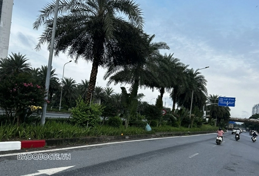 Dự báo thời tiết 10 ngày tới (5-15/9): Các khu vực chiều tối, đêm có mưa, nhiều nơi cục bộ mưa to đến rất to