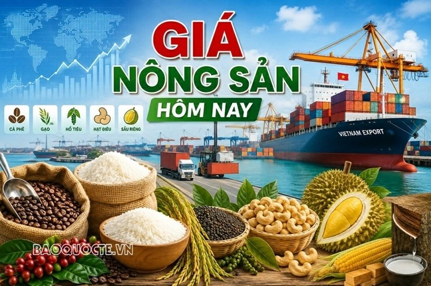 Giá nông sản hôm nay 30/9/2026: Giá cà phê