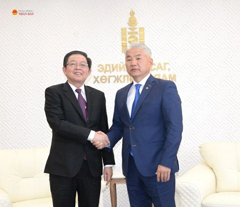 Phó Thủ tướng Chính phủ Hồ Quốc Dũng làm việc với  Phó Thủ tướng Thường trực Mông Cổ Jadamba Enkhbayar