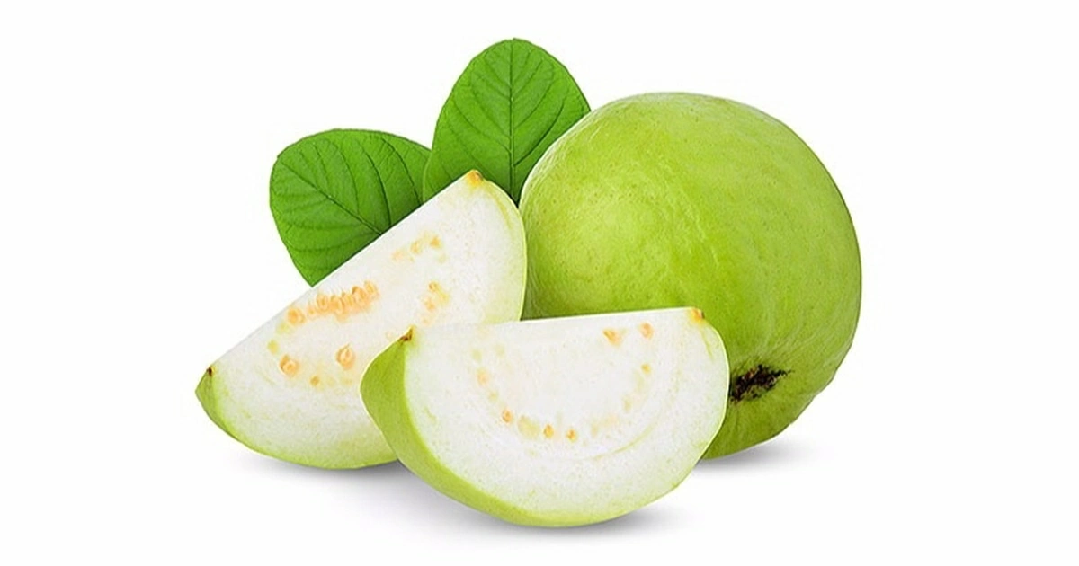 Những lợi ích sức khỏe vượt trội từ quả ổi Những lợi ích sức khỏe vượt trội từ quả ổi