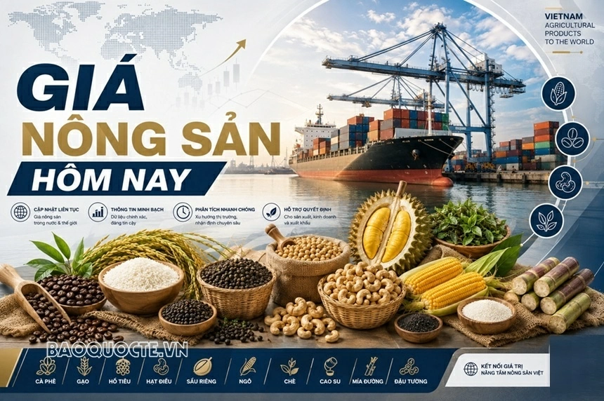 Giá nông sản hôm nay 12/9/2026: Giá cà phê đồng loạt giảm, nguồn cung vụ mới ồ ạt ra thị trường; Nam Phi kêu gọi dỡ bỏ rào cản thương mại trong BRICS