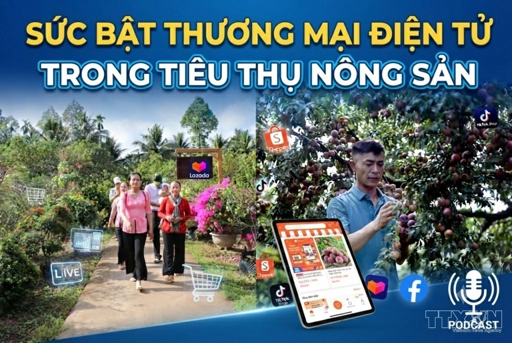 Thúc đẩy xuất khẩu trực tuyến cho doanh nghiệp Việt
