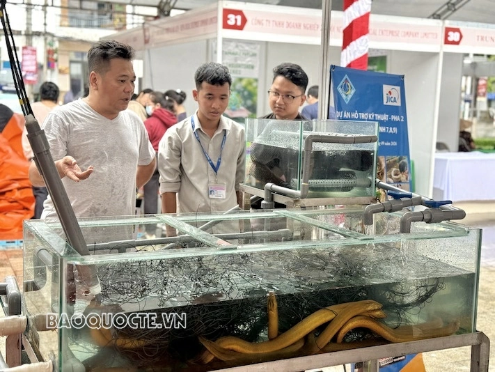 Thúc đẩy giao lưu văn hóa - thương mại Việt Nam - Nhật Bản tại thành phố Cần Thơ