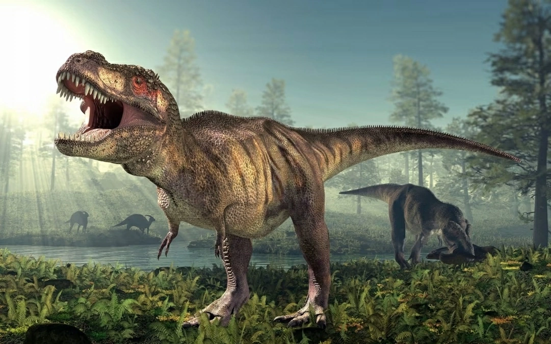 Nghiên cứu mới hé lộ thân nhiệt thực sự của khủng long T. rex
