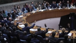Cộng đồng quốc tế kêu gọi Israel chấm dứt hoạt động quân sự tại Syria