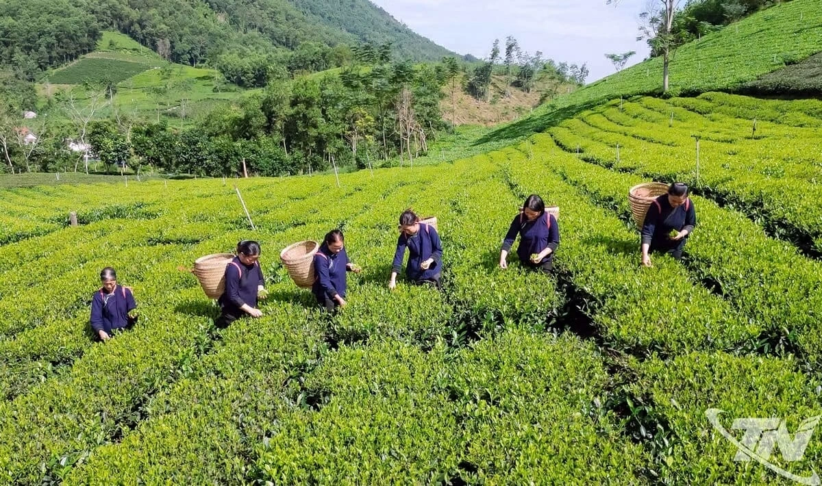 10.39. Kinh tế xanh: Cuộc tái cấu trúc toàn cầu 10.39. Kinh tế xanh: Cuộc tái cấu trúc toàn cầu