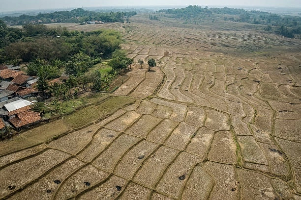 Siêu El Niño trở lại , châu Á chạy đua chuẩn bị cho những kịch bản khắc nghiệt Siêu El Niño trở lại , châu Á chạy đua chuẩn bị cho những kịch bản khắc nghiệt
