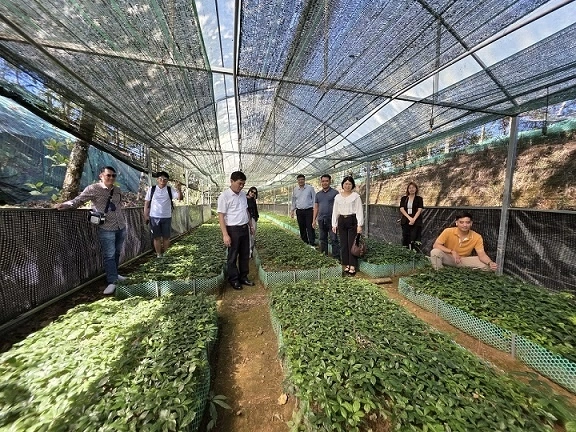 Thúc đẩy hợp tác Việt Nam - Hàn Quốc từ tiềm năng bản địa