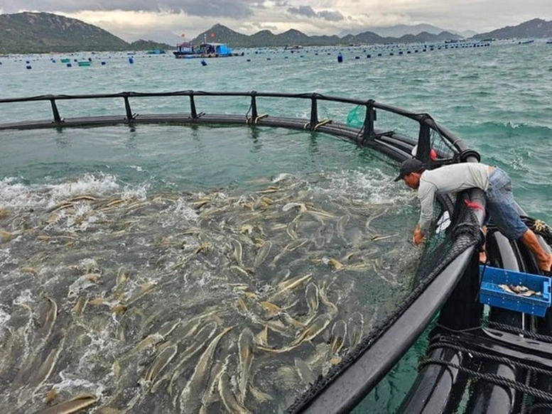 Công nghệ mở lối cho kinh tế biển Khánh Hoà