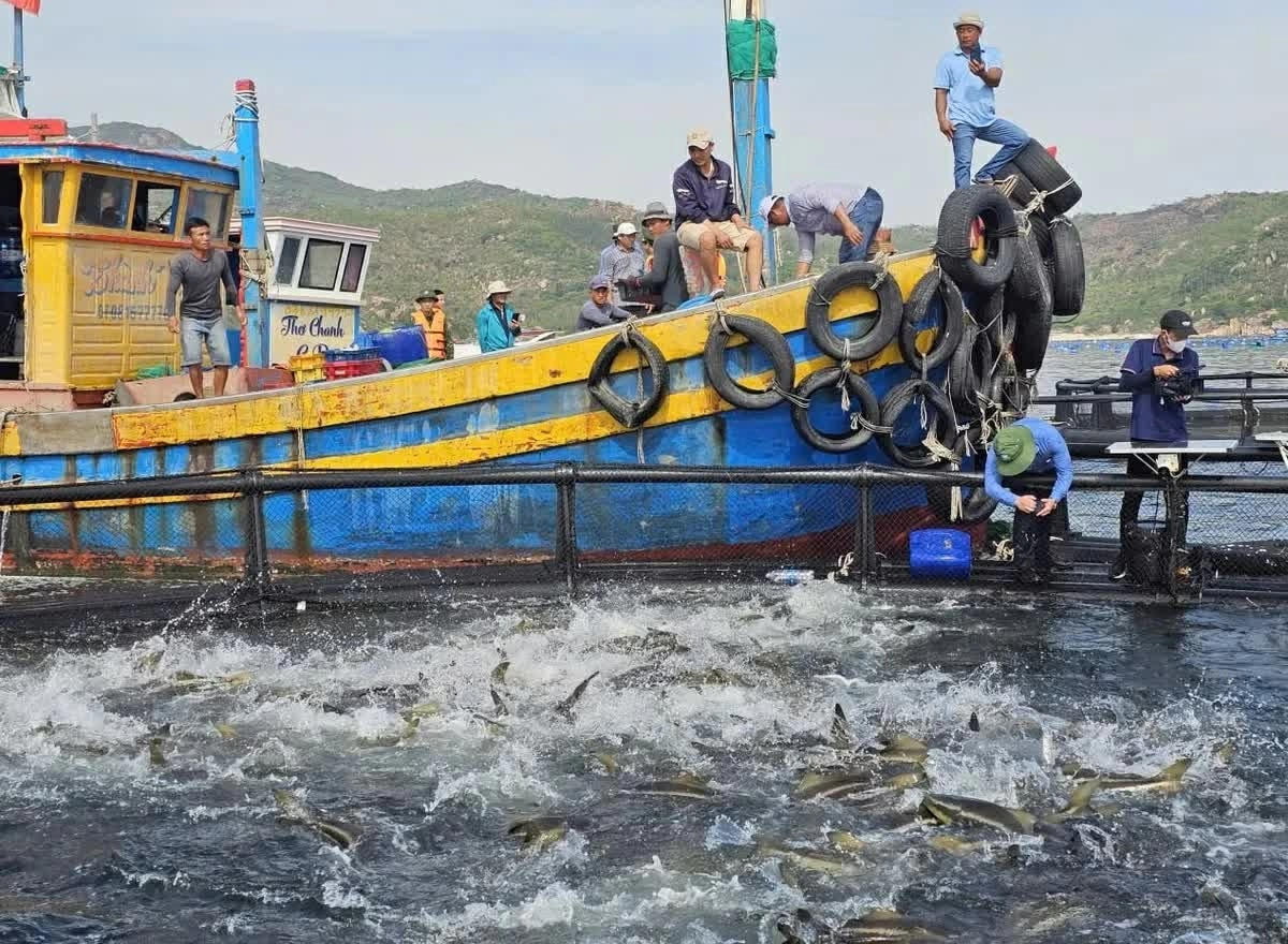 Công nghệ mở lối cho kinh tế biển Khánh Hoà