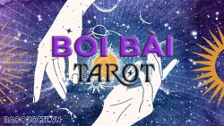 Bài tarot hôm nay 19/10: Người ấy có muốn gặp bạn không?