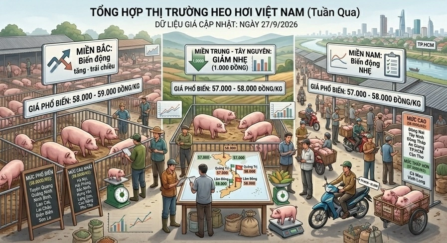 Giá heo hơi
