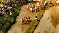 Trại buôn người đưa bối cảnh vùng biên giới miệt vườn miền Tây lên màn ảnh rộng