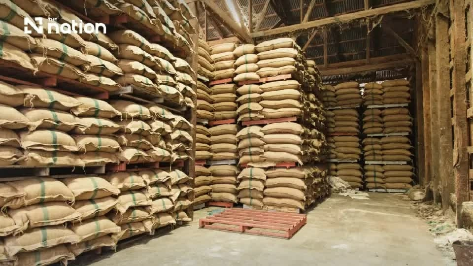 Th&aacute;i Lan l&ecirc;n kế hoạch tăng dự trữ gạo, dầu cọ ứng ph&oacute; El Ni&ntilde;o