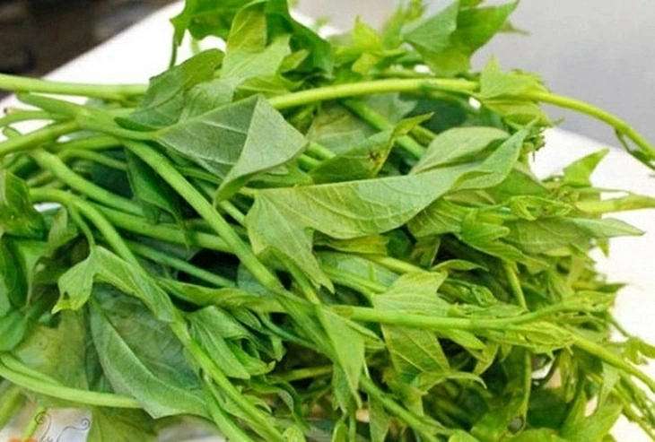 Rau lang - thuốc bổ cho gan và đường huyết nếu chế biến đúng cách Rau lang - thuốc bổ cho gan và đường huyết nếu chế biến đúng cách
