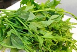 Rau lang - thuốc bổ cho gan và đường huyết nếu chế biến đúng cách