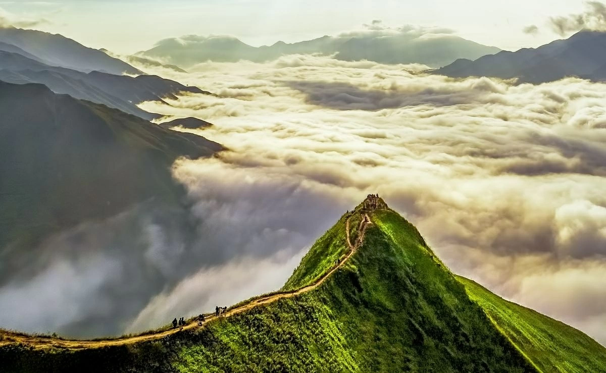 Du lịch Việt Nam tiếp tục ghi dấu tại World Travel Awards 2026 Du lịch Việt Nam tiếp tục ghi dấu ấn tại World Travel Awards 2026