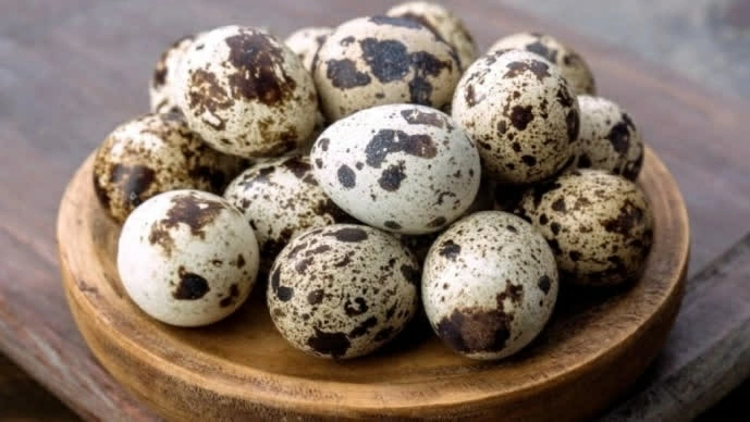Trứng cút cần được canh đúng thời gian luộc để lòng trắng chín, lòng đỏ đạt độ mềm phù hợp. (Nguồn: Điện máy Xanh)