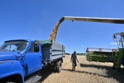 Tình đoàn kết của EU-Ukraine gặp thách thức, Kiev khó tìm đường ra cho ngũ cốc