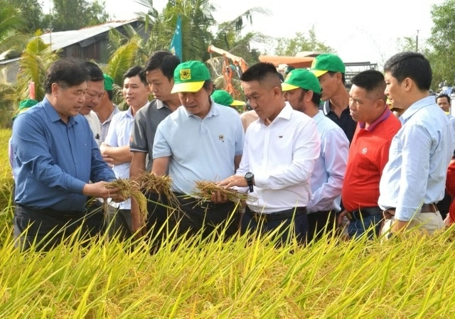 Phân bón Đầu Trâu – Thương hiệu quốc gia được vun đắp từ niềm tin trên đồng ruộng