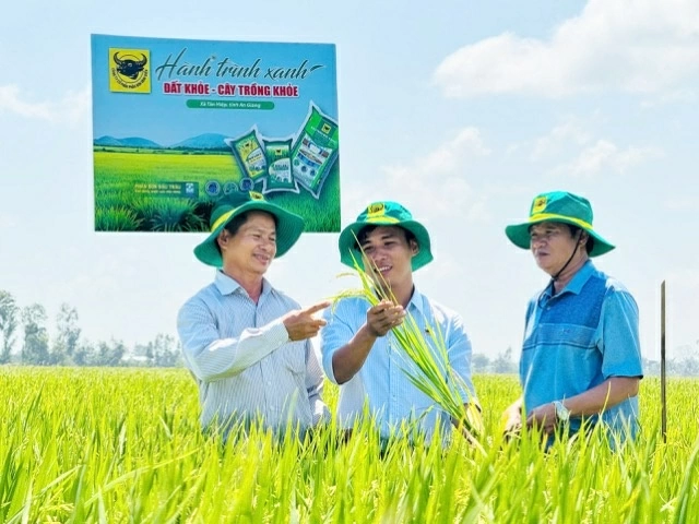 Phân bón Đầu Trâu – Thương hiệu quốc gia được vun đắp từ niềm tin trên đồng ruộng