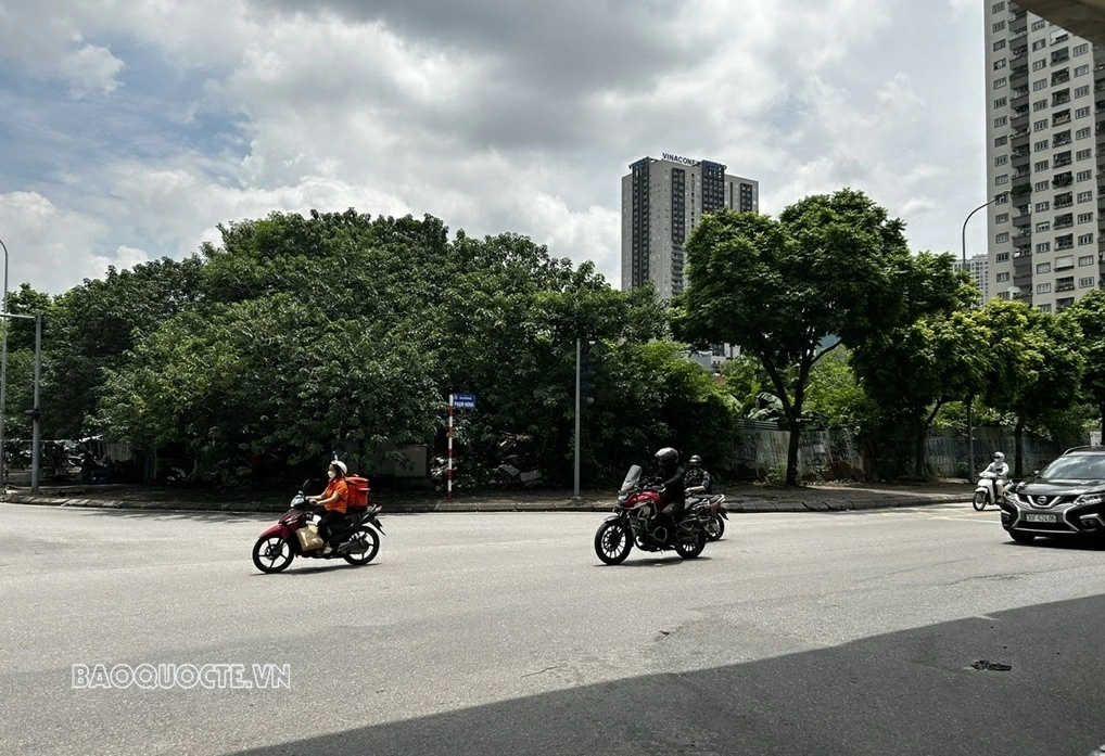Dự báo thời tiết 10 ngày tới (10-20/10): Bắc Bộ ngày nắng; Trung Bộ và Nam Bộ mưa rào rải rác, có nơi mưa to