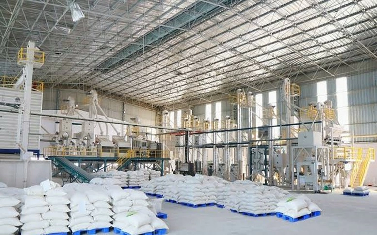 Ngành lúa gạo Việt Nam đứng trước yêu cầu mới  Tạo động lực nâng tầm lúa gạo xuất khẩu năm 2026