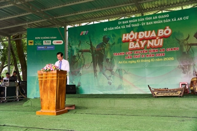 Bình Điền và 5 năm nối dài sức sống di sản Đua bò Bảy Núi