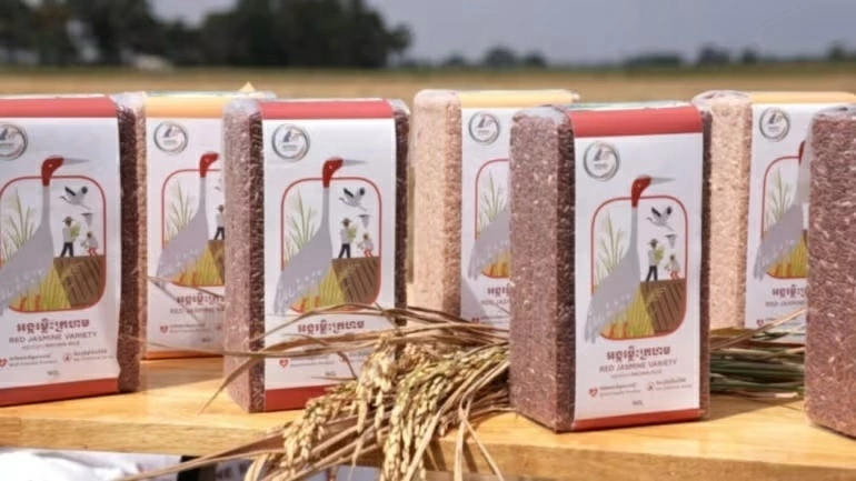 Campuchia thúc đẩy nông nghiệp gắn với bảo tồn