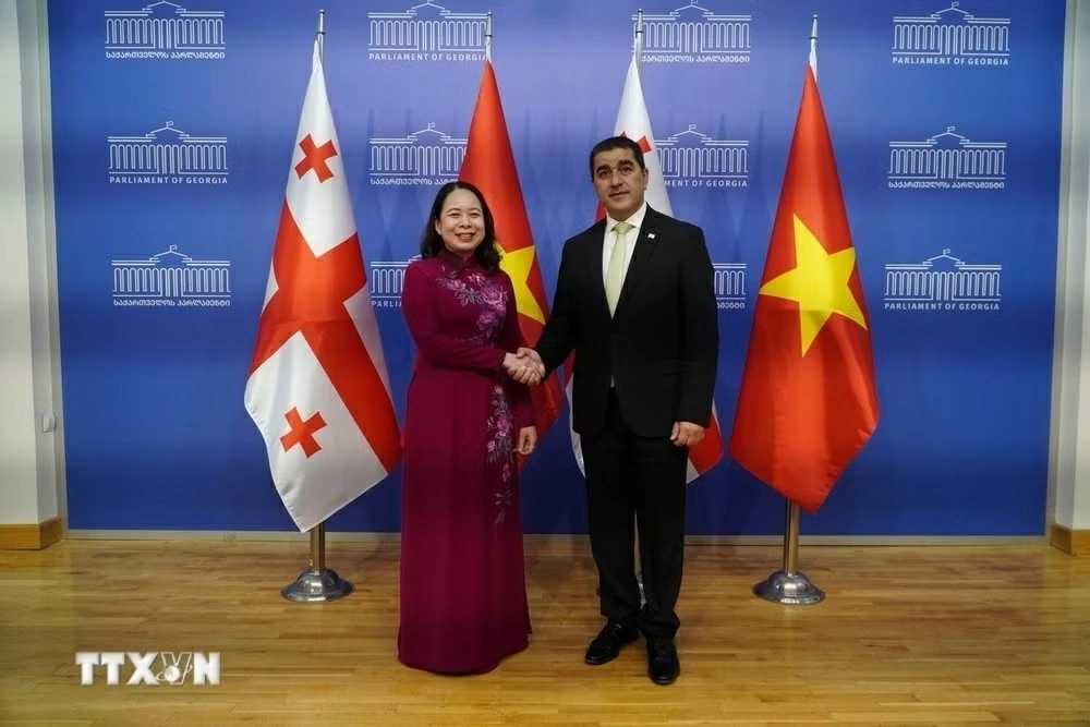 Phó Chủ tịch nước Võ Thị Ánh Xuân hội kiến lãnh đạo cấp cao Gruzia