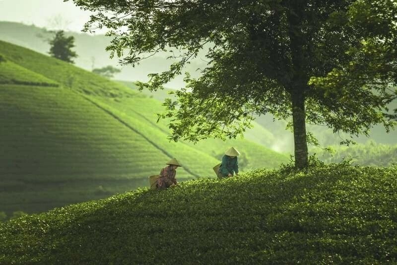 Du lịch Phú Thọ mở rộng không gian phát triển mới Du lịch Phú Thọ mở rộng không gian phát triển mới