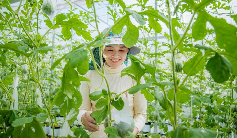 Nữ doanh nhân phát triển nông nghiệp sạch ở Lâm Đồng Nữ doanh nhân phát triển nông nghiệp sạch ở Lâm Đồng