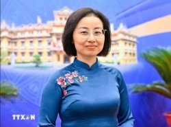 Một dấu mốc lịch sử, tầm nhìn chiến lược trong quan hệ Việt Nam - Đan Mạch