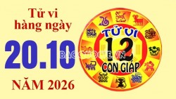Tử vi hôm nay, xem tử vi 12 con giáp hôm nay ngày 20/10/2026: Tuổi Dần cải thiện tài vận