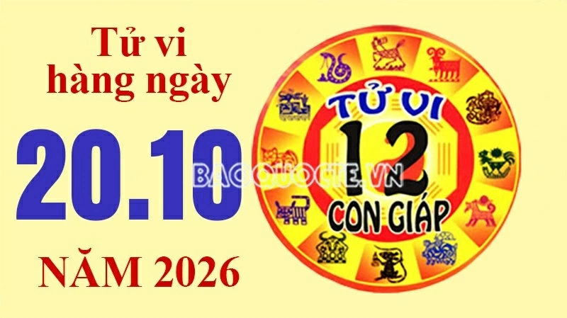 Tử vi hôm nay, xem tử vi 12 con giáp hôm nay ngày 20/10/2026: