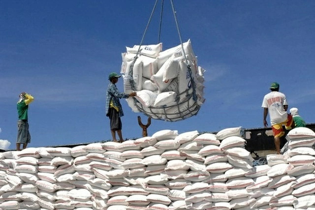 Nhu cầu phục hồi, giá gạo châu Á đồng loạt bứt phá Nhu cầu phục hồi, giá gạo châu Á đồng loạt bứt phá