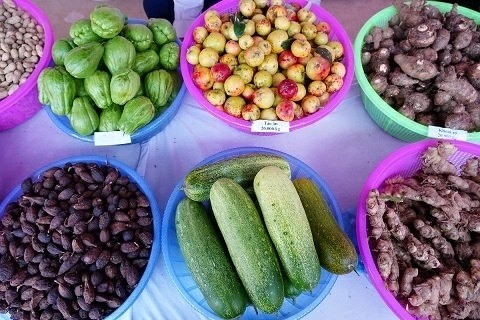 Giữ sắc chàm giữa mùa vàng Lao Chải (Lào Cai)