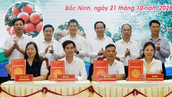 Lan tỏa hình ảnh và thương hiệu nông sản Bắc Ninh