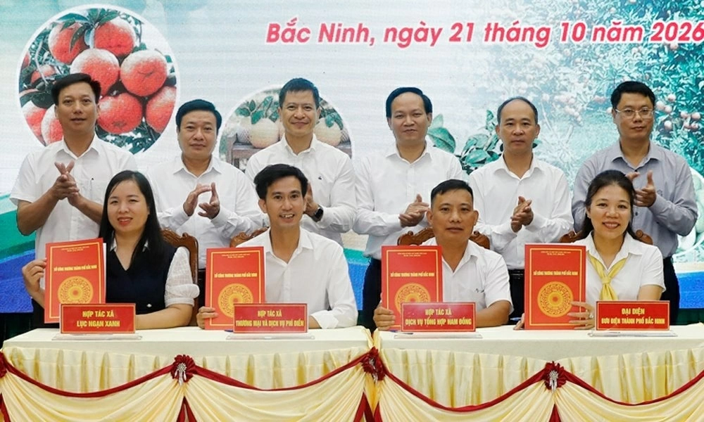 Đại biểu chứng kiến nghi thức ký kết biên bản thỏa thuận, hợp tác tiêu thụ trái cây chủ lực, đặc trưng thành phố Bắc Ninh năm 2026. (Nguồn: BTC)