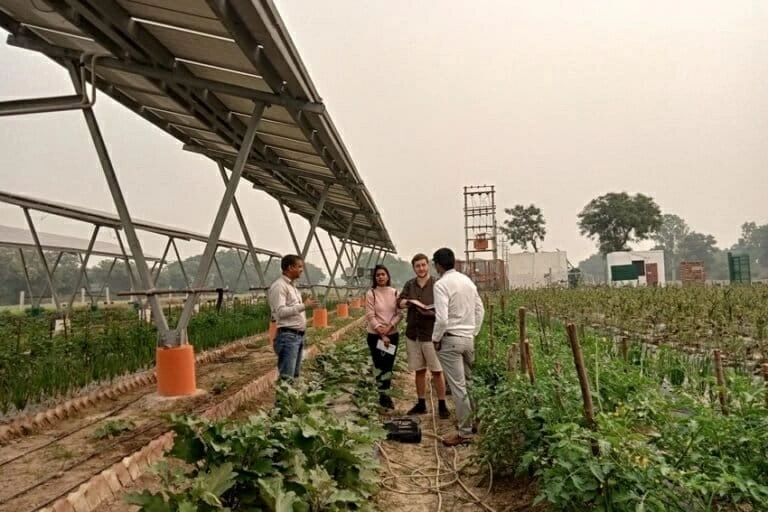 Ấn Độ xây dựng chính sách phát triển điện Mặt Trời kết hợp nông nghiệp