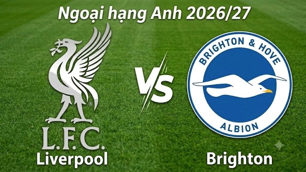Nhận định, dự đoán trận đấu Liverpool vs Brighton: Đại chiến giữa hai hàng công Nhận định, dự đoán trận đấu Liverpool vs Brighton: Đại chiến giữa hai hàng công