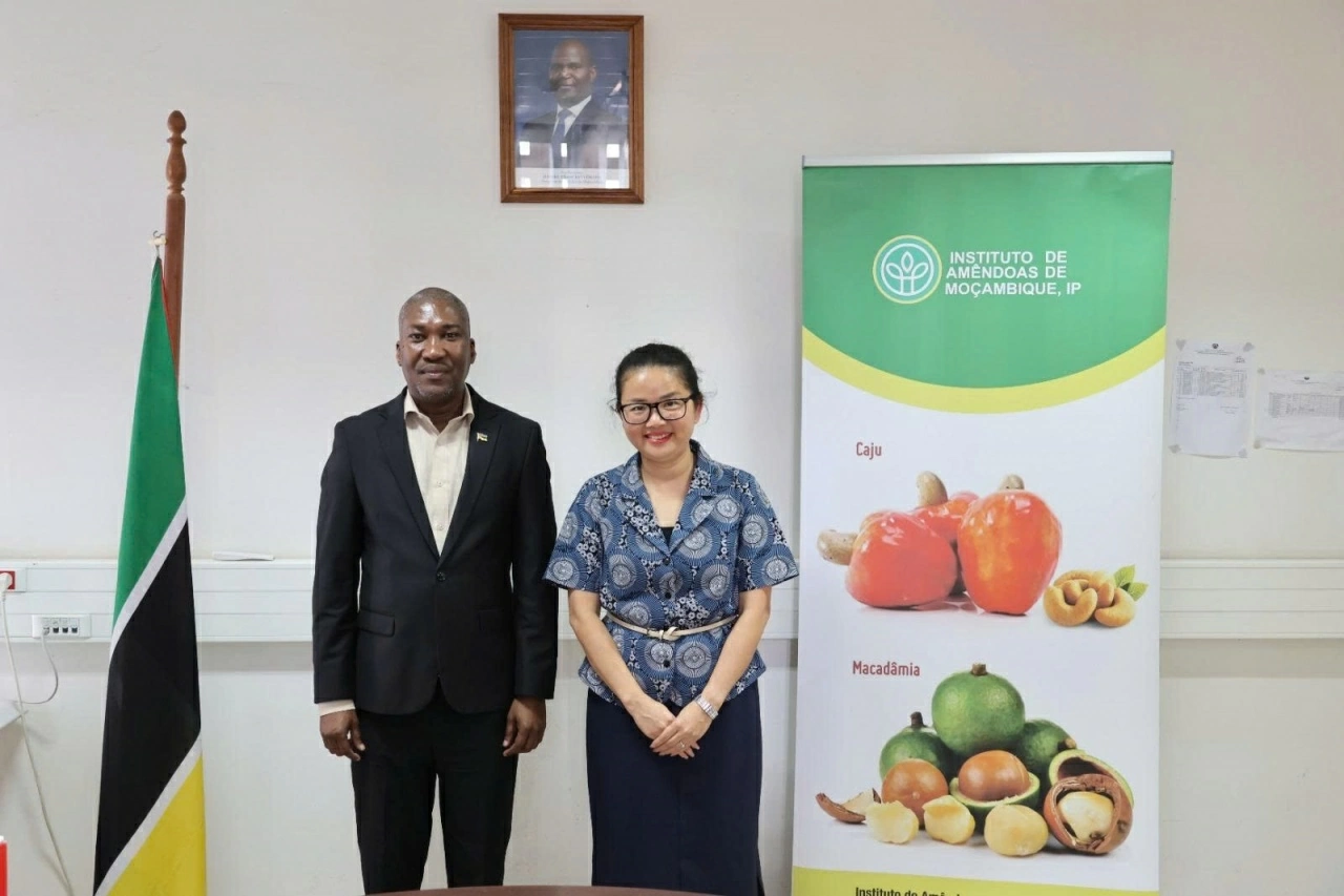 Đại sứ Việt Nam tại Mozambique làm việc với Viện trưởng Viện Điều thúc đẩy hợp tác song phương