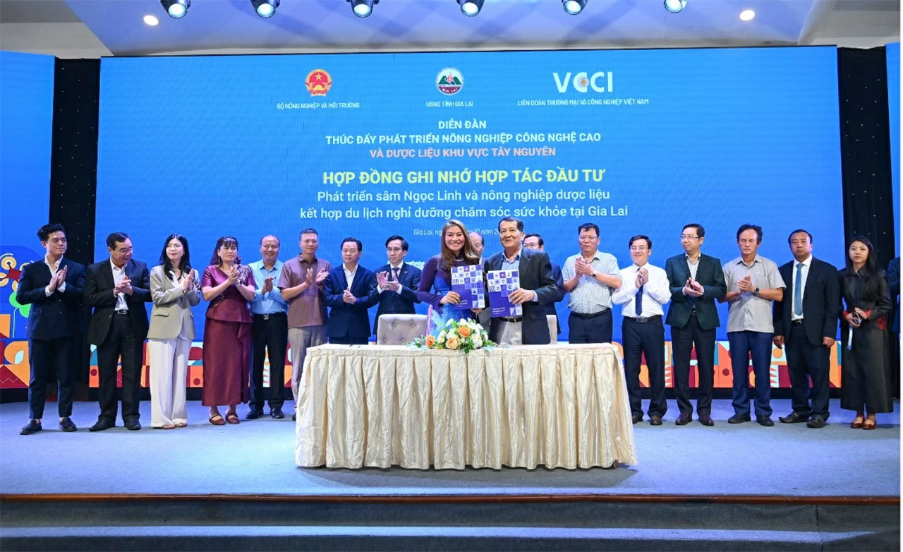 Trường Sinh Group: Nâng tầm giá trị Sâm Ngọc Linh từ chế biến sâu đến phát triển hệ sinh thái chăm sóc sức khỏe
