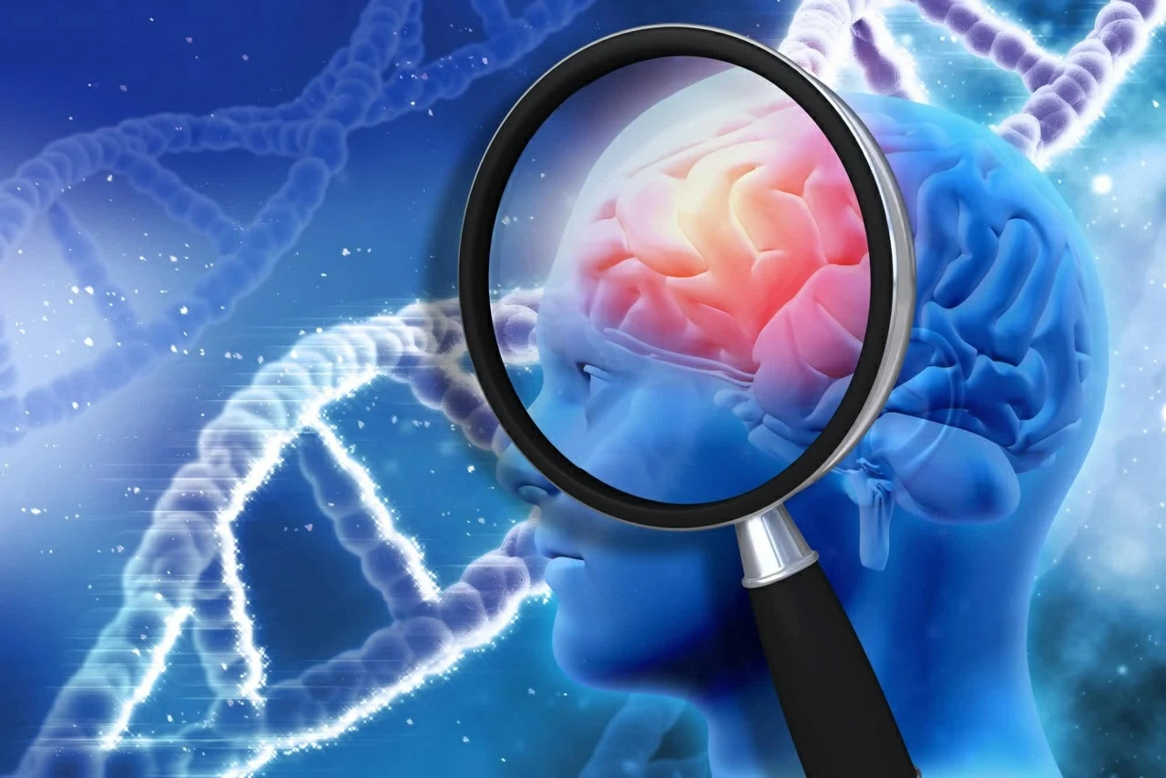 11P43: Phát hiện gene giúp bảo vệ trí nhớ 11P43: Phát hiện gene giúp bảo vệ trí nhớ