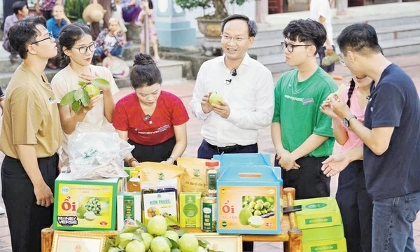 Bắc Ninh đưa sản phẩm OCOP lên môi trường số, mở rộng thị trường tiêu thụ Bắc Ninh đưa sản phẩm OCOP lên môi trường số, mở rộng thị trường tiêu thụ