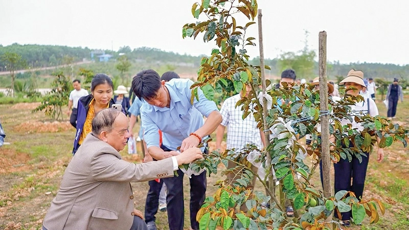 Tập đoàn Quế Lâm: Tiên phong phát triển nông nghiệp hữu cơ, tuần hoàn