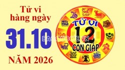 Tử vi hôm nay, xem tử vi 12 con giáp hôm nay ngày 31/10/2026: Tuổi Dậu lợi nhuận kinh doanh tăng nhanh