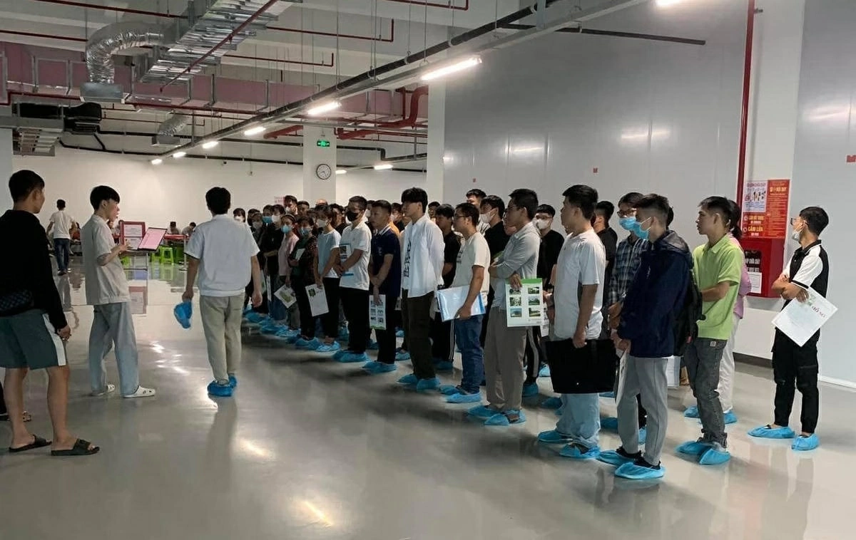 Trung tâm Dịch vụ việc làm Ninh Bình: Kết nối nguồn nhân lực, tạo ‘cú hích’ phát triển kinh tế - xã hội
