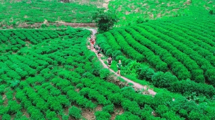 Du lịch Thái Nguyên ‘làm mới’ cách kể chuyện xứ trà