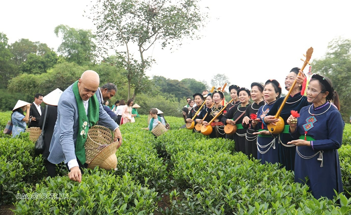Thông qua chương trình tham quan và trải nghiệm, các đại biểu có cơ hội trực tiếp khám phá vùng chè nổi tiếng, tìm hiểu những giá trị văn hóa truyền thống gắn với cây chè.